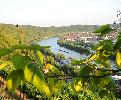 2922 Neckarzimmern c TG Odenwald
