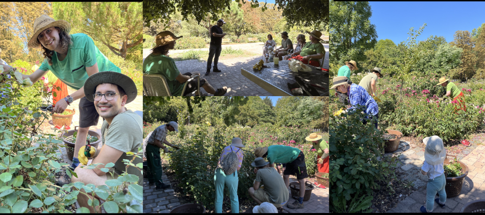 Gardeners