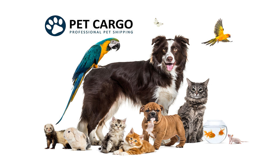 Pet_Cargo-Logo-Pic