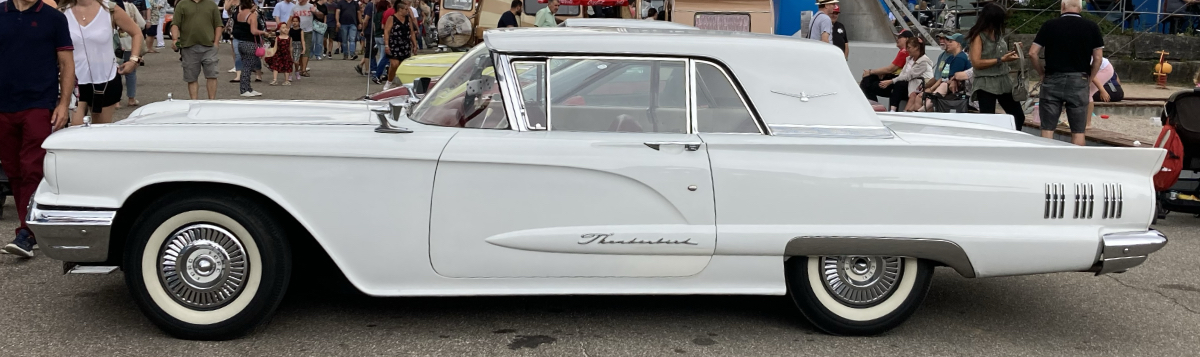 Thunderbird