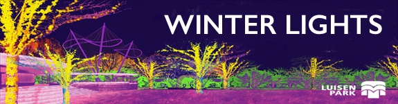 Winter Lichts banner
