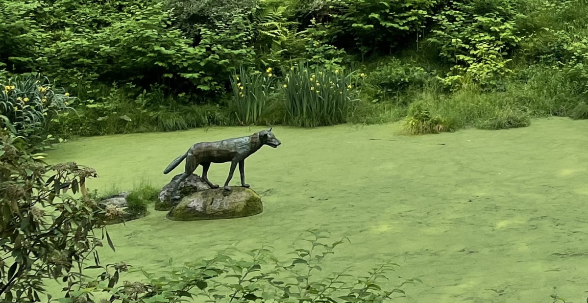 Wolfsbrunnen