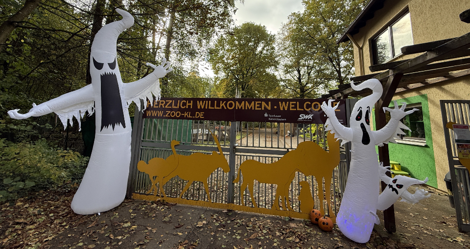Zoo Oween